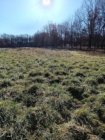 Terrain à bâtir dans un cadre privilégié!