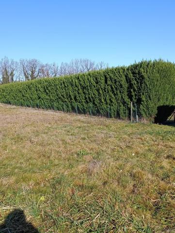 Terrain à bâtir dans un cadre privilégié!