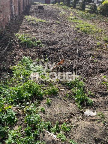 Terrain à vendre à Belleu - Opportunité à saisir !