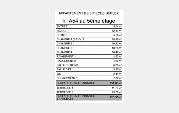 Vente Appartement P5 Duplex dernier étage 43M2 ext. 2 PK neuf Paris 15ème   