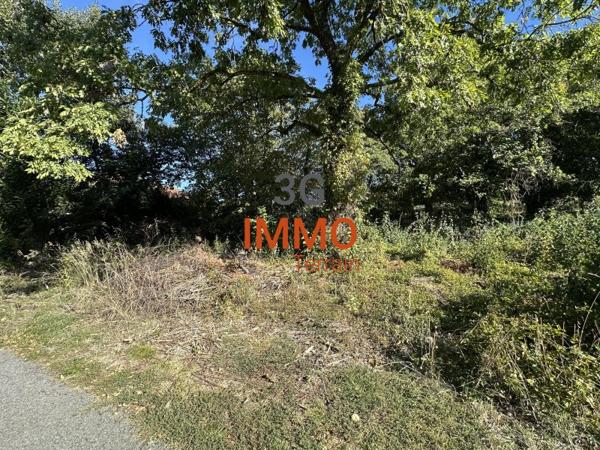 Vente / Terrain constructible à Fillinges (74250)