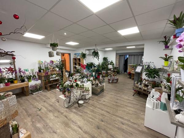 Vente Immeuble635 m² - 3 Pièces - FREVENT (62270)