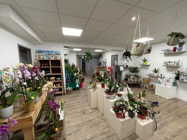 Vente Immeuble635 m² - 3 Pièces - FREVENT (62270)