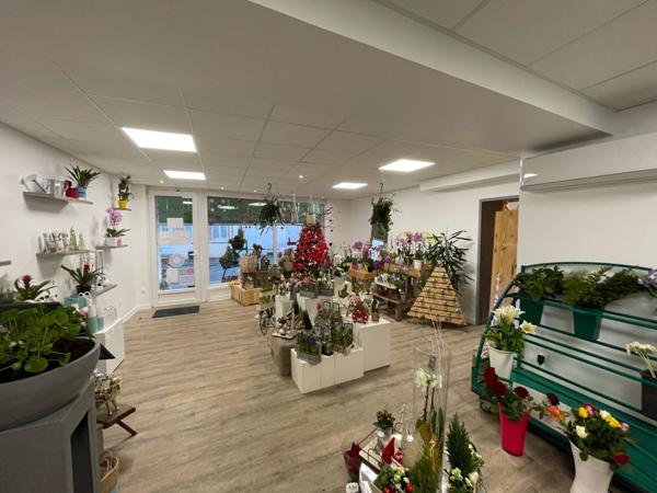 Vente Immeuble635 m² - 3 Pièces - FREVENT (62270)