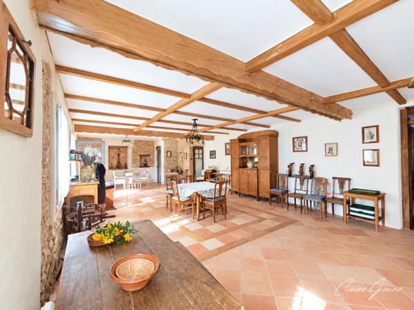Élégante demeure de caractère de 375 m² – Charme, volumes et authenticité à vendre 12 pièces (31)