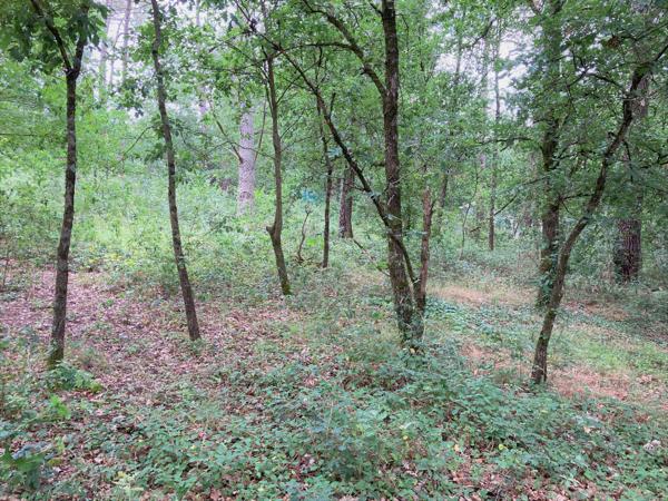 Achat terrain près de Montans - 1704 m² - 110 000 €