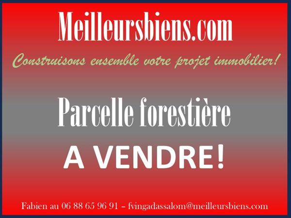 PARCELLE FORESTIERE DE 30 HECTARES