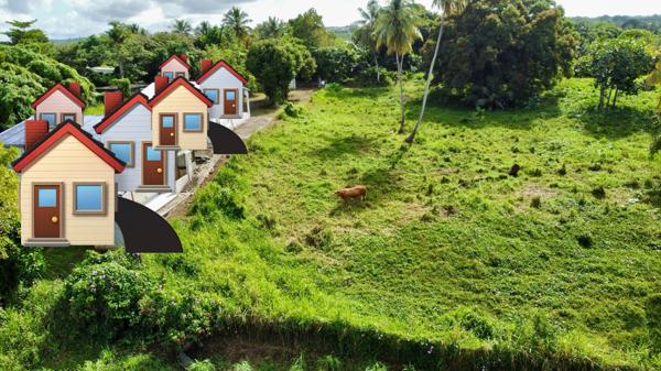 Terrain pour projet d'eco-tourisme / Eco-Gites