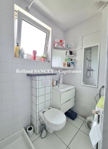 A vendre  ROYE (70) Maison avec habitation principale et logement locatif sur plus de 5800 m2