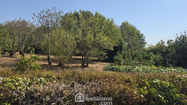 Terrain à bâtir 0 m² à Talmont-Saint-Hilaire 85440