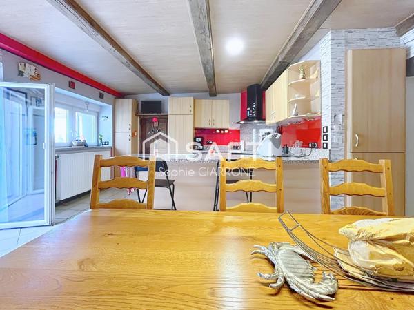 JOLIE MAISON JUMELÉE 240M2 AVEC JARDIN 760M2 ; TERRASSE , GARAGE 5 VOITURES;