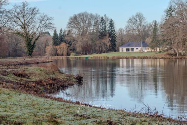 Nançay (18330) Propriété d’exception en Sologne – 21 hectares avec étang de 5 hectares et pavillon récent RT 2020 à Nançay