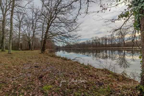 Nançay (18330) Propriété d’exception en Sologne – 21 hectares avec étang de 5 hectares et pavillon récent RT 2020 à Nançay