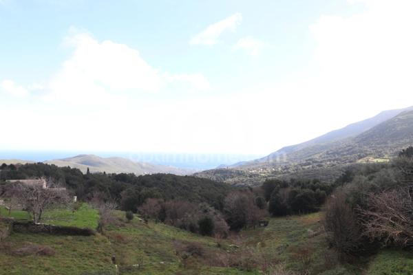 Maison Ancienne à Vendre à Sisco (20)
