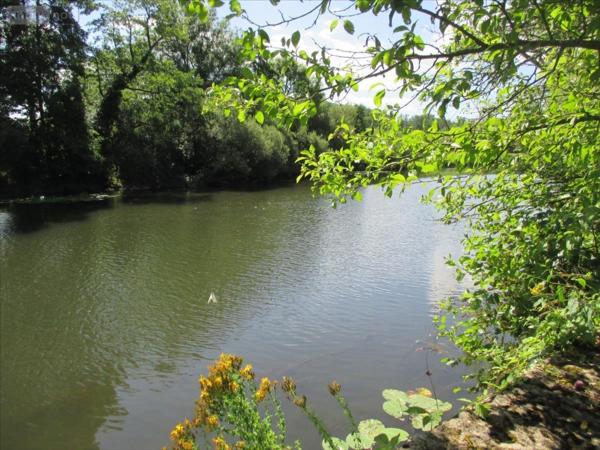 Maison à restaurer à vendre à Faverney en Haute-Saône (70160), ref : CP/E87