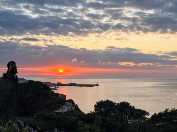 Propriano, appartement  de grand standing Propriano 4 pièce(s) 119.43 m2 terrasse vue mer garage