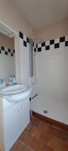 Maison Fresnay Sur Sarthe 10 pièce(s) 250 m2