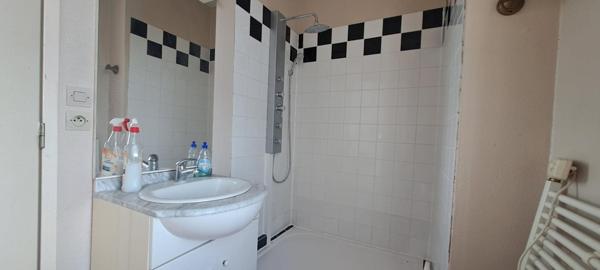 Maison Fresnay Sur Sarthe 10 pièce(s) 250 m2