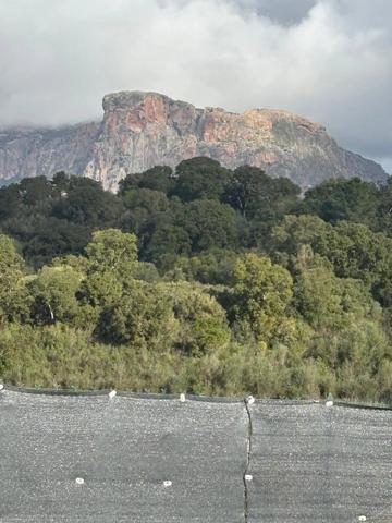 Location Villa 3 pièces 81 m2 à Appietto