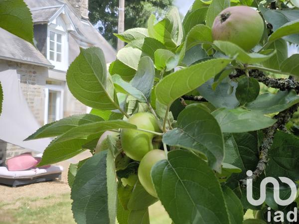 Maison à vendre 5 pièces 91 m² Valdallière