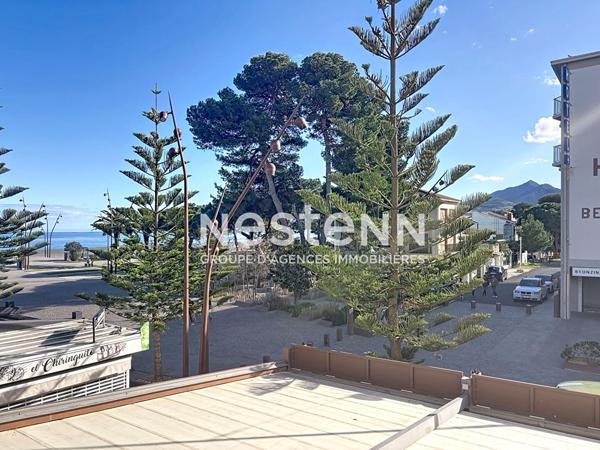Appartement à Argeles Sur Mer vue mer 2 pièce(s)