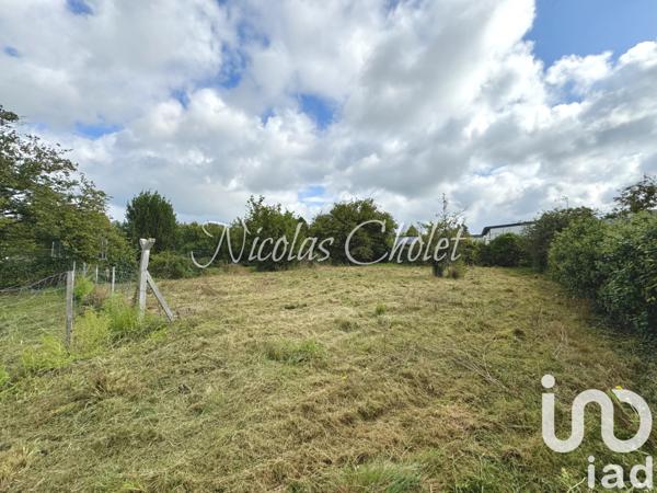 Immeuble à vendre 233 m² Segré-en-Anjou Bleu