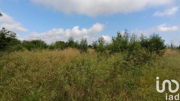 Terrain à vendre 1 804 m² Claira