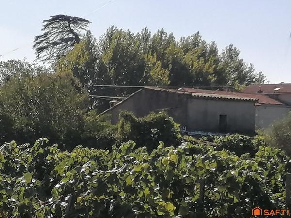 Joli bastidon au cœur des vignes à restaurer