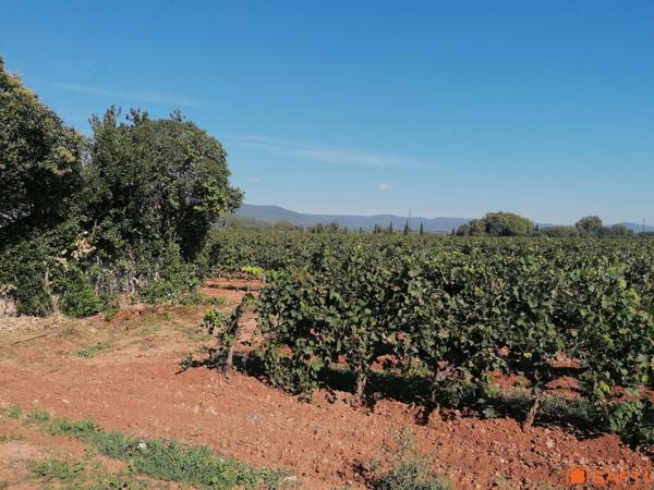Joli bastidon au cœur des vignes à restaurer