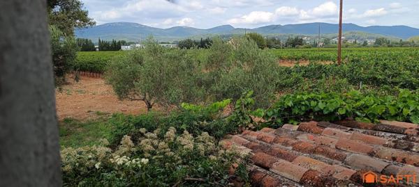 Joli bastidon au cœur des vignes à restaurer