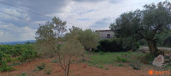 Joli bastidon au cœur des vignes à restaurer