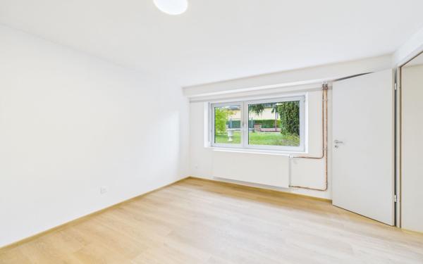 Appartement à louer    2 pièces •  Souffelweyersheim