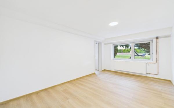 Appartement à louer    2 pièces •  Souffelweyersheim