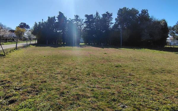 Terrain à vendre    La Tremblade