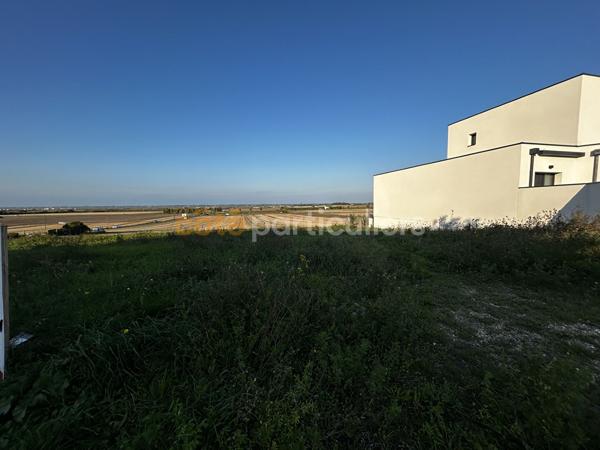 Vente
                Terrain470 m² - ETAULES (17750)