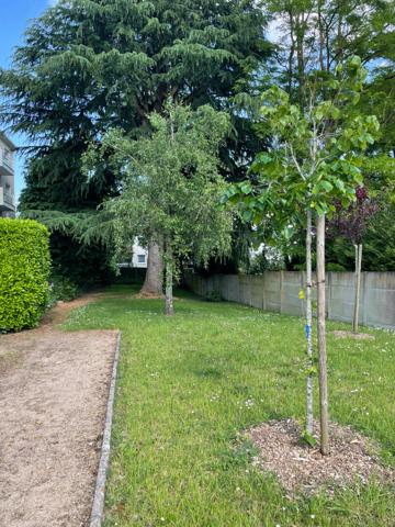 Appartement Saint Jean De Braye 3 pièce(s) 68.18 m2