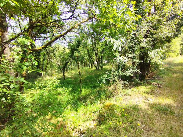 Terrain constructible, Crayssac 1496 m2