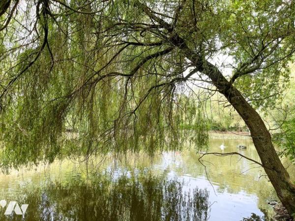 Longère avec parc et étang
