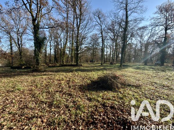 Terrain à vendre 2 040 m² Cénac-et-Saint-Julien