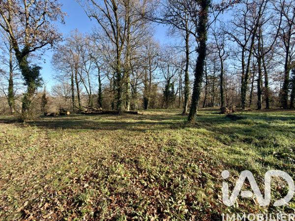 Terrain à vendre 2 040 m² Cénac-et-Saint-Julien