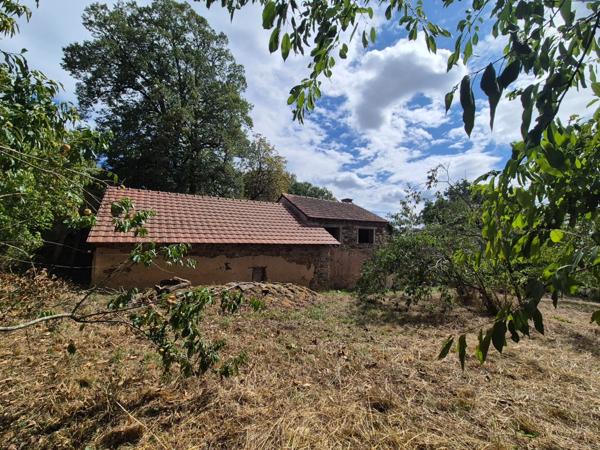 Maison à rénover 3 pièces NOUZIERS (23) terrain 4100 m² 3h30 Paris