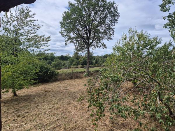 Maison à rénover 3 pièces NOUZIERS (23) terrain 4100 m² 3h30 Paris