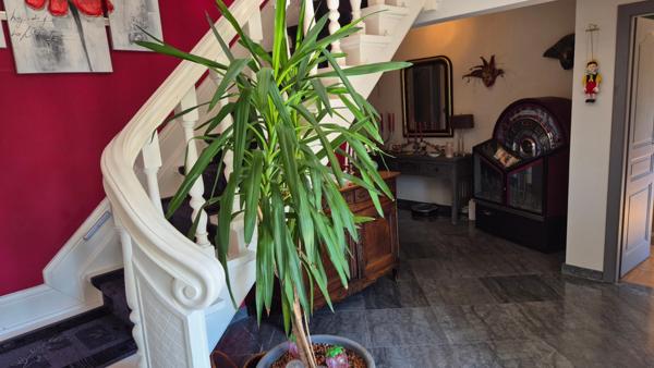 Propriété 330m2 avec piscine intérieure sur 3790m2