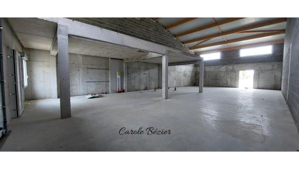 Local Professionnel NEUF