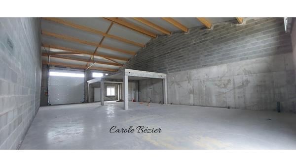 Local Professionnel NEUF