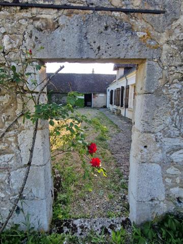 Authentique maison vigneronne au calme