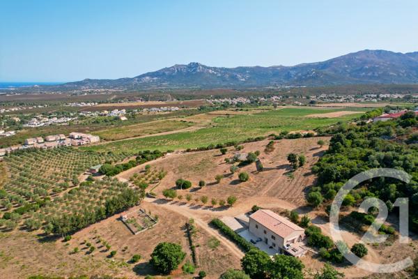 Maison à vendre  6 pièces - 210,39 m2 CALENZANA - 202