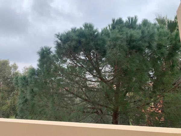 Location Appartement 3 pièces 66 m2 à Perpignan