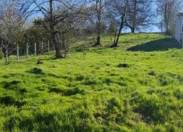 Terrain à vendre    1 467 m2 Brive-la-Gaillarde