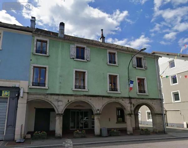 Achat - Fonds et/ou murs commerciaux Le Thillot 88160 5 pièces 263 m 2